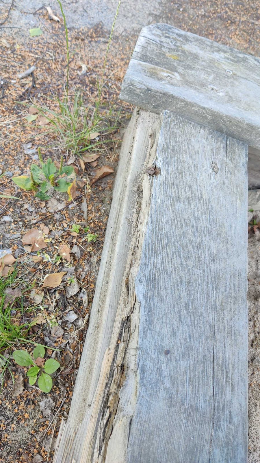 Rostig skruv i sittyta